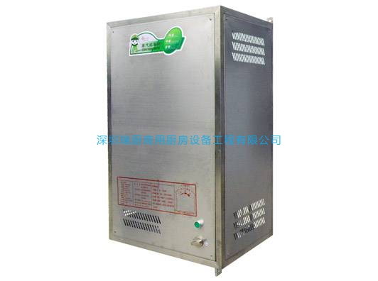 掛墻式蒸汽機(jī)